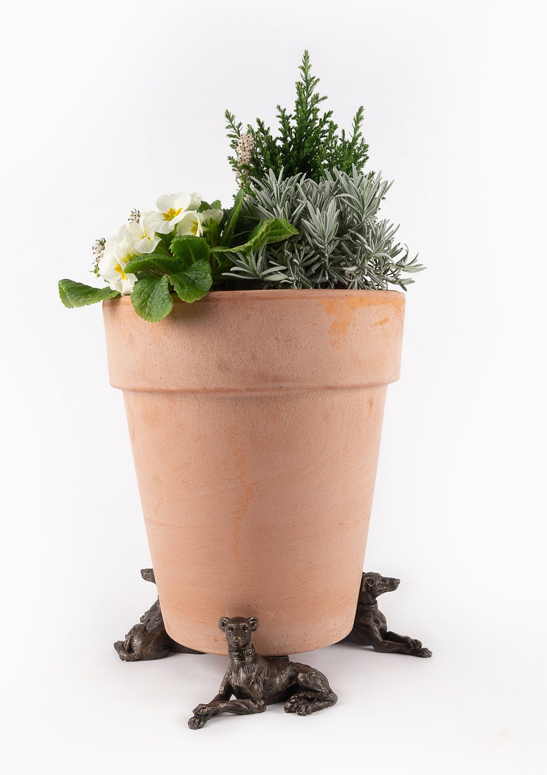 Greyhound Potty Feet Plant Pot Feet Antique Bronze Coloured Etsy UK