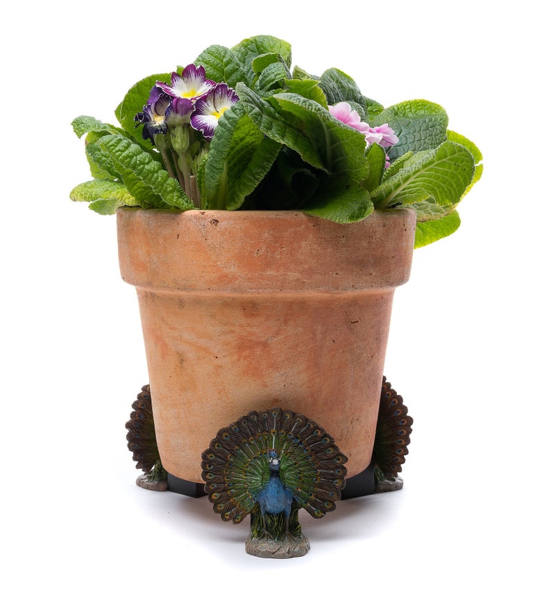 Full Colour Peacock Potty Feet Plant Pot Feet X 3 Pot Etsy UK