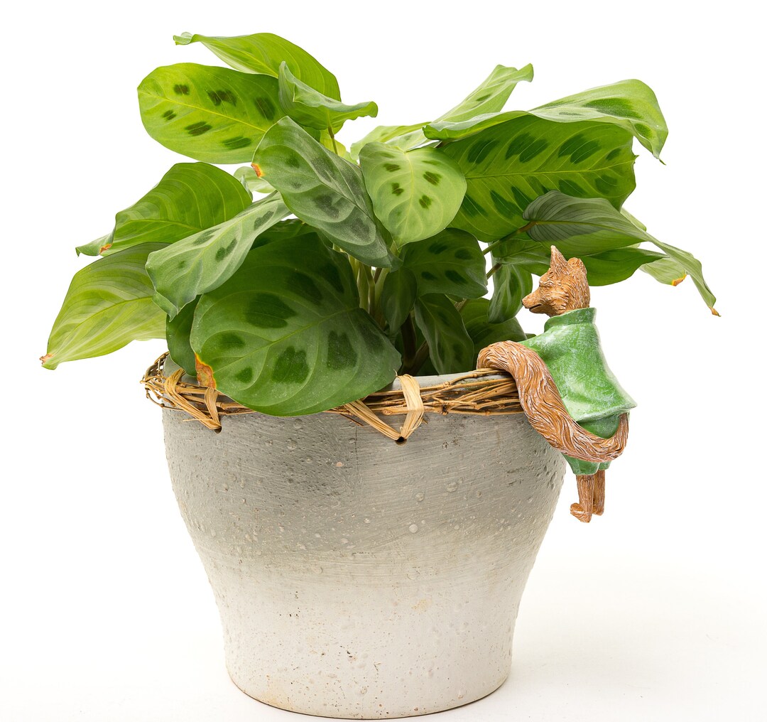 Beatrix Potter Mr. Tod Pot Buddy Fox Garden Ornament Etsy
