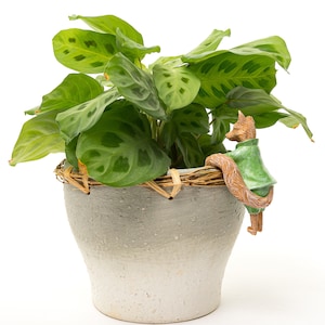 May include: A green and brown ceramic fox figurine perched on the rim of a gray ceramic planter with a woven straw rim. The planter is filled with a green leafy plant with large, patterned leaves.