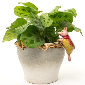 Op de afbeelding: Een groene plant in een pot met een bruine gevlochten rand en een klein roze varkensfiguurtje dat aan de zijkant van de pot omhoog klimt.