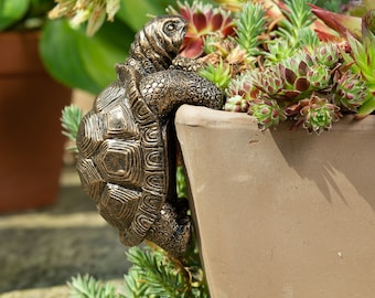 Tortoise, Pot Buddy, Pot Hanger, Bronze, Coloured, Tortoise, Gift Boxed, Pot Buddies. Tortoise Ornament, Garden and Home, Plant Pot Hanging