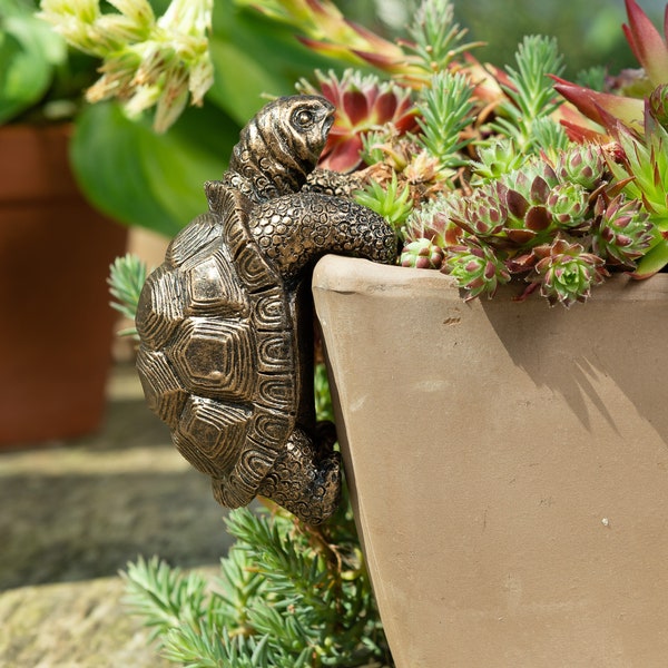 Tortoise, Pot Buddy, Pot Hanger, Bronze, Coloured, Tortoise, Gift Boxed, Pot Buddies. Tortoise Ornament, Garden and Home, Plant Pot Hanging