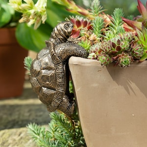 Tortoise, Pot Buddy, Pot Hanger, Bronze, Coloured Tortoise, Gift Boxed, Tortoise Ornament, Garden and Home, Plant Pot Hanging, Plant Pot