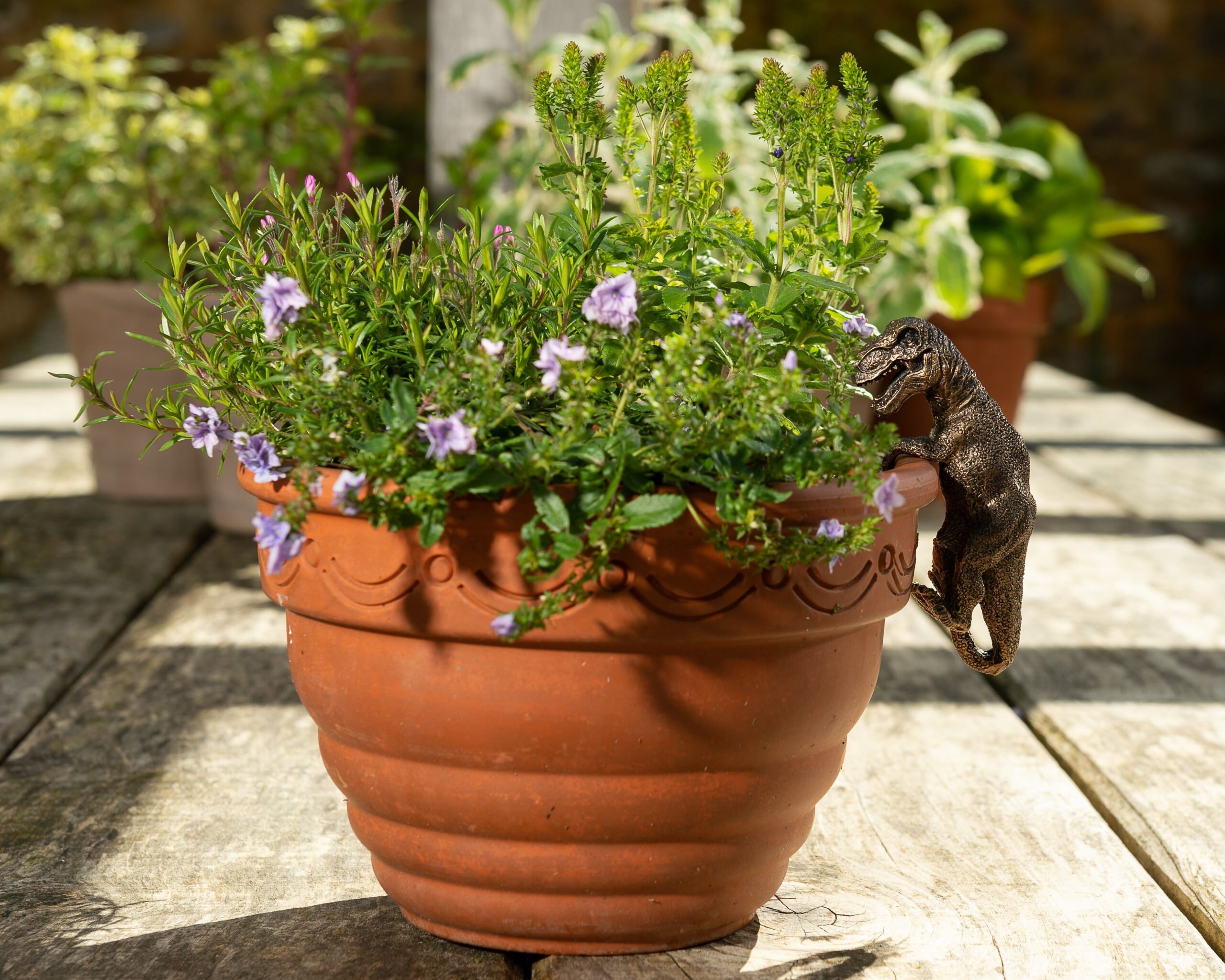 Pot Buddies T-Rex Deko-Hänger – Bronzefarben, Aus Frostsicherem Polyresin, Für Töpfe, Vasen Oder Als Wanddekoration, Ganzjährig Für Innen & Außen