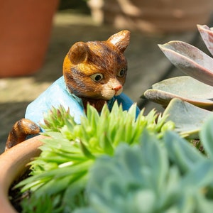 Beatrix Potter, Tom Kitten Pot Buddy, Pot Hanger, Cat Gifts, Cat Ornament, Cat Decor, Gift Boxed, Garden Gifts, Garden Decor, Yard Decor