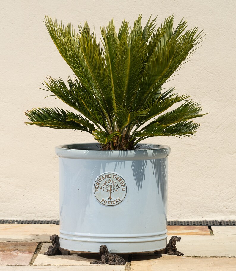 May include: A light blue ceramic planter with a brown logo that says "Heritage Garden Pottery" and a tree design. The planter is sitting on four small, brown, dog-shaped feet. A green cycad plant is growing in the planter.