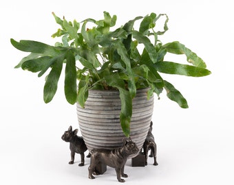 Bronze French Bulldog Pot Buddy, Pot Hanger, Gift Boxed, Garden Gifts, Antique Decor, Plant Pot Decor, Pot Hanging, Yard Decor, Garden, Yard