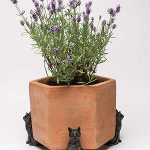 May include: A terracotta planter with lavender flowers is sitting on a set of four black cat planter feet.