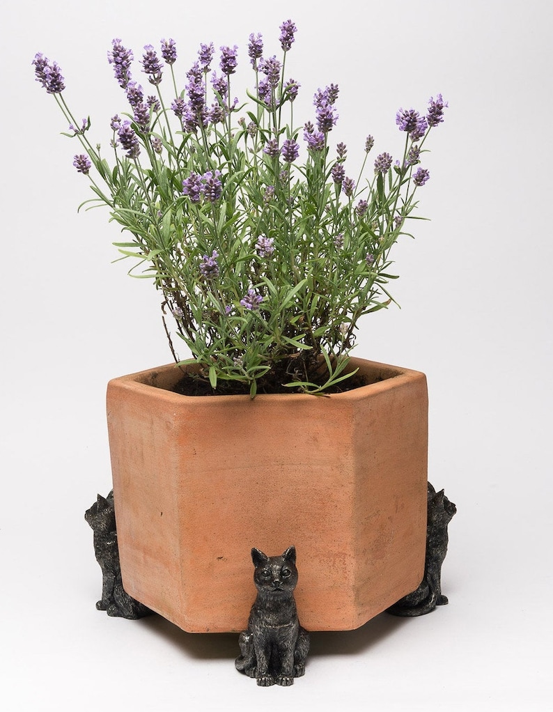May include: A terracotta planter with lavender flowers is sitting on a set of four black cat planter feet.