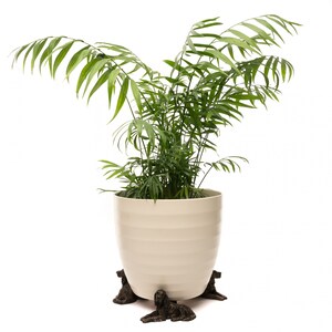 May include: A white ceramic planter with a green leafy plant inside. The planter is sitting on a decorative stand made of four bronze dog figurines.
