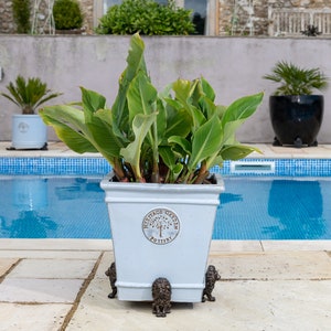May include: A light blue planter with a square shape and decorative lion feet. The planter has a white label with the text "Heritage Garden Pottery" and a tree design. The planter is filled with green plants and is sitting on a stone patio next to a swimming pool.