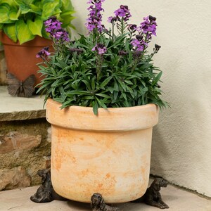 May include: A terracotta pot with purple flowers sits on three decorative dog-shaped plant stands. The pot is round and has a slightly flared lip. The dogs are made of metal and are painted in a bronze finish.
