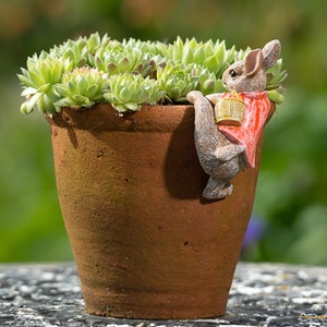 Beatrix Potter, Flopsy Bunny Peter Rabbit Pot Buddy, Pot Hanger, Rabbit Decor, Gift Boxed, Garden Gifts, Garden Decor, Plant Pot Decor