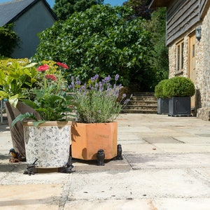 May include: Four terracotta flower pots with various plants, including lavender, are placed on a stone patio. The pots are decorated with black metal owl figurines. The patio is in front of a stone building with a wooden door.