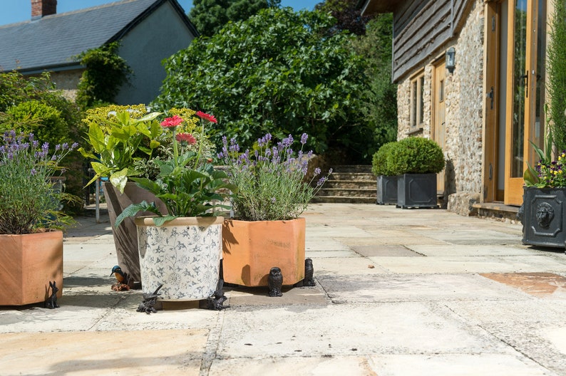 May include: Four terracotta flower pots with various plants, including lavender, are placed on a stone patio. The pots are decorated with black metal owl figurines. The patio is in front of a stone building with a wooden door.