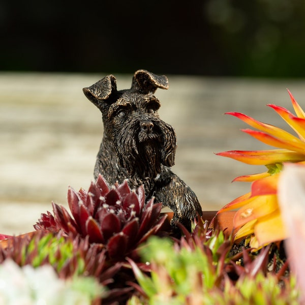 Bronze, schnauzer, pot-de-poule, suspension pour pot, antiquité, décoration de chien, décoration de chien, coffret cadeau, cadeaux jardin, décoration de jardin, décoration de pot de plante, jardin