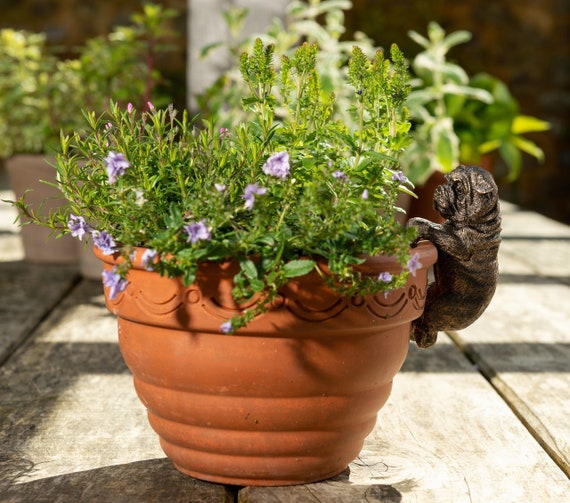 British Bulldog Pot Buddy: Hand-Painted Garden Pot Hanger