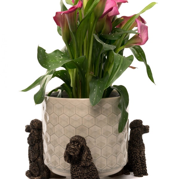 Bronze Poodle Potty Feet, Set of 3, Plant Pot Stand, Gift Boxed, Pot Stand, Plant Pot Decor, Plant Pot Decoration, Garden Decor, Garden
