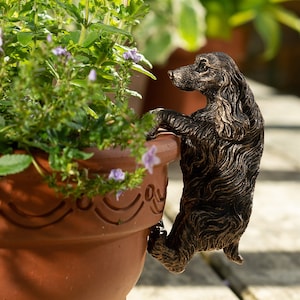 Bronze, Cocker Spaniel, Pot Buddy, Pot Hanger, Gift Boxed, Garden Gifts, Antique Decor, Plant Pot Decor, Pot Hanging, Yard Decor, Garden