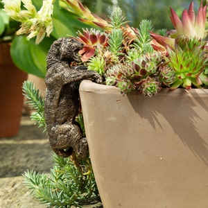 May include: A bronze-colored animal figurine of a tiger climbing up the side of a terracotta planter. The planter is filled with green and red succulents.