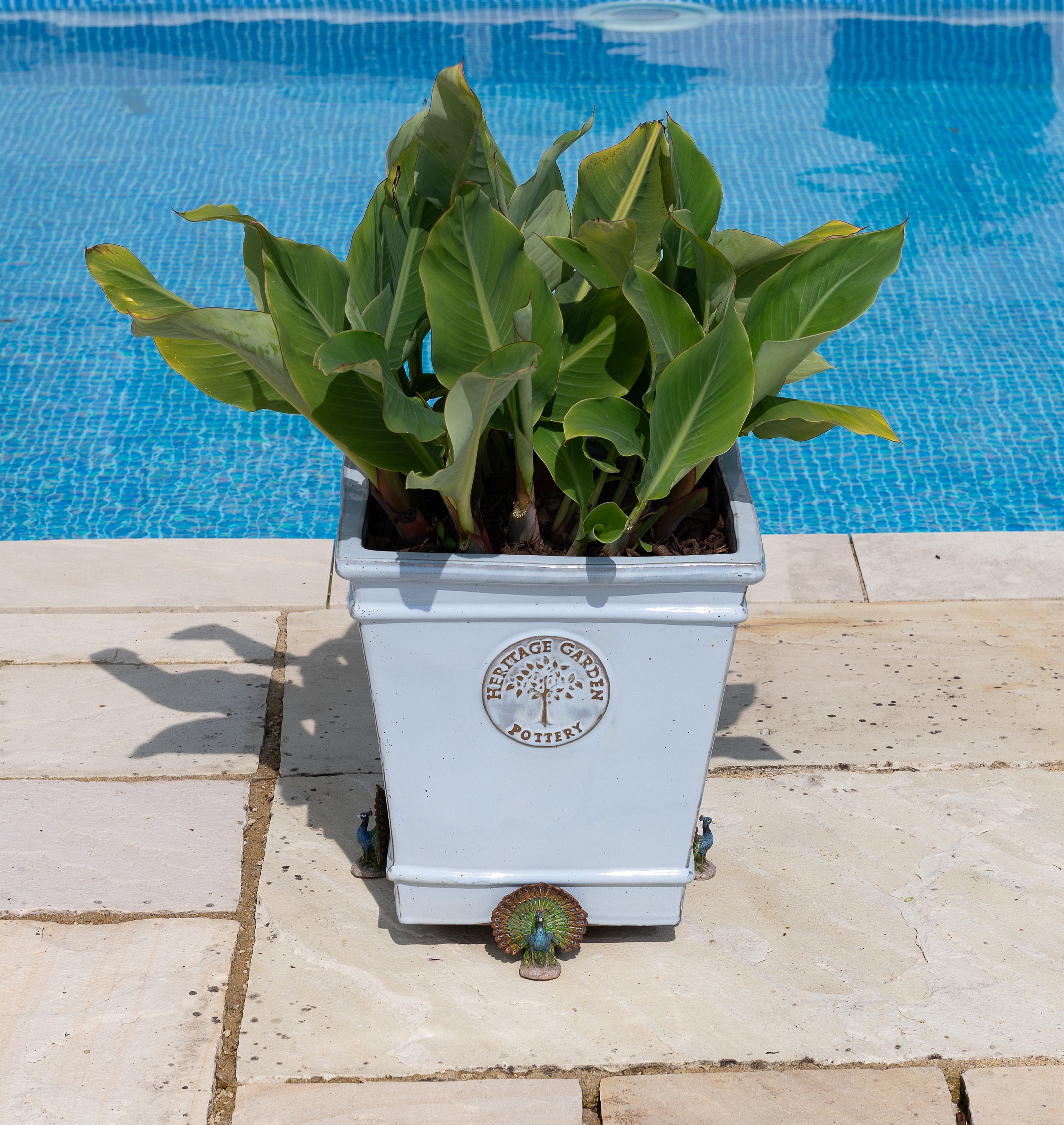 Full Colour Peacock Potty Feet Plant Pot Feet X 3 Pot Etsy UK