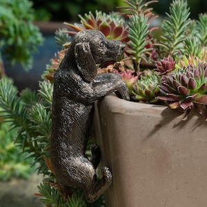 May include: A bronze-coloured dog figurine is perched on the edge of a terracotta planter, its head tilted as if looking at something off-screen. The dog is sculpted in a realistic style, with fur details and a playful expression.