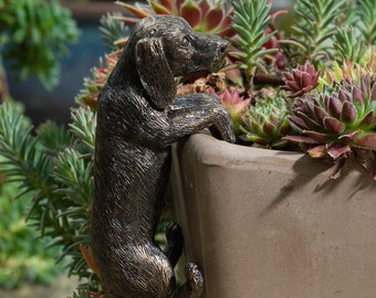 May include: A bronze-colored dog figurine is perched on the edge of a terracotta planter, its head tilted as if looking at something off-screen. The dog is sculpted in a realistic style, with fur details and a playful expression.