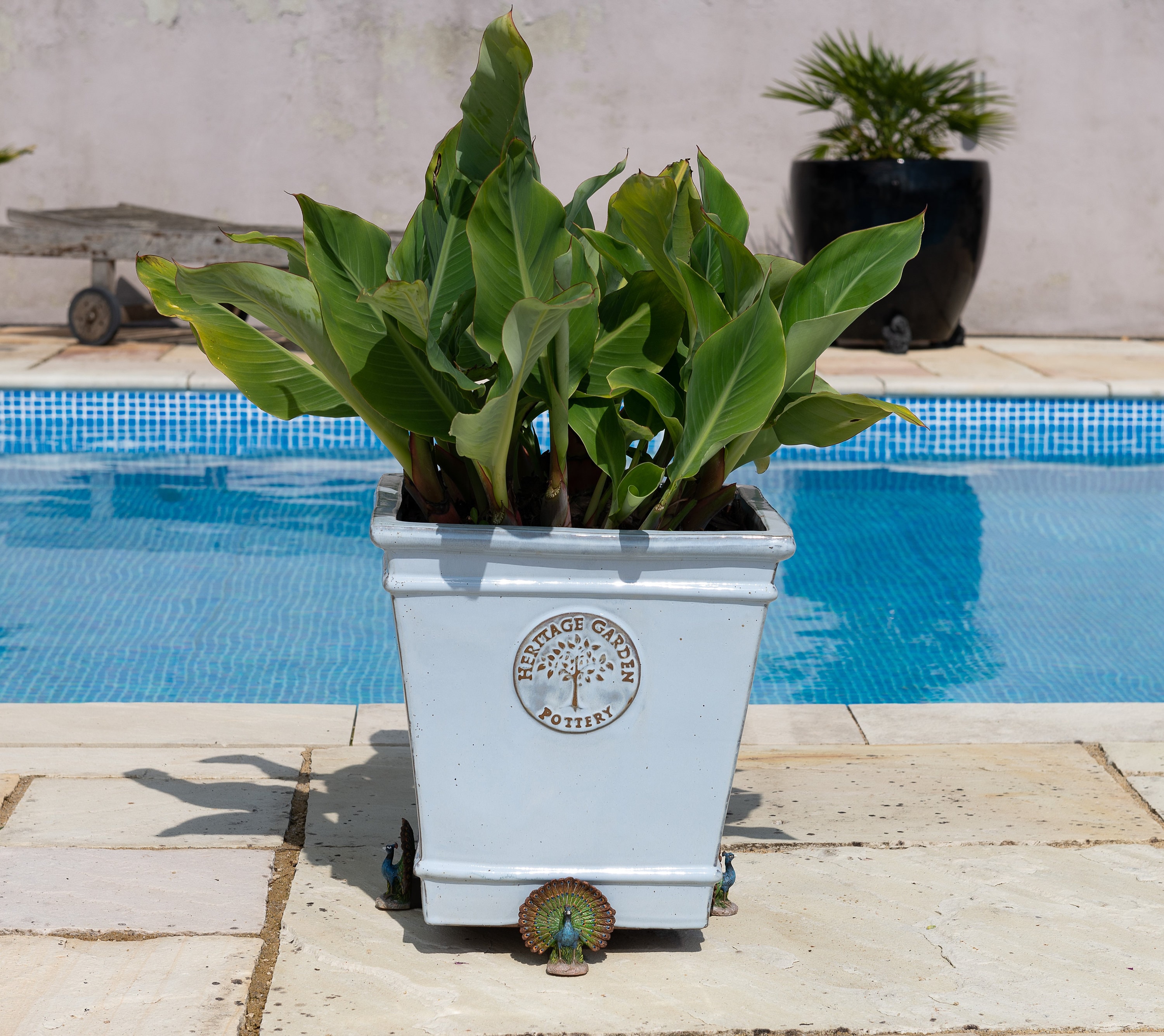 Full Colour Peacock Potty Feet Plant Pot Feet X 3 Pot Etsy UK