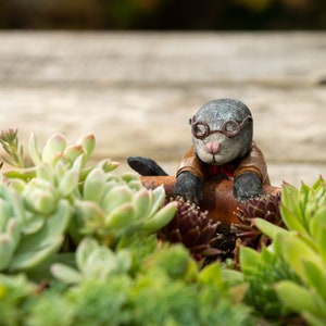 Op de afbeelding: Een grillige tuinplanter met een grijze, bril dragende knaagdierfiguur met een bruine jas en een rode vlinderdas, omringd door een verscheidenheid aan groene vetplanten. De achtergrond is een vage houten ondergrond.