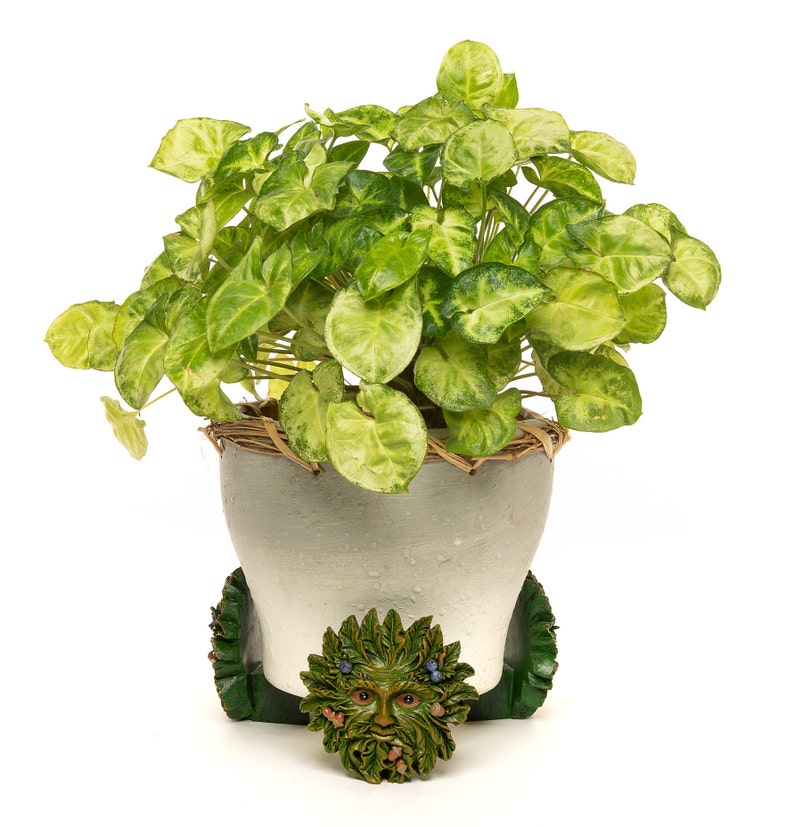 Potty Feet Plant Pot Feet Full Colour Green Man Plant Pot Etsy