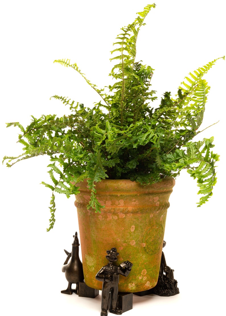 Potty Feet Plant Pot Feet Antique Bronze Coloured Wallace Etsy