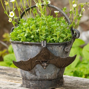 Può includere: Un vaso a secchio in metallo usurato con un ornamento a pipistrello in bronzo. Il vaso contiene piante verdi con piccoli fiori bianchi. Il pipistrello è centrato sulla parte anteriore del vaso.
