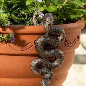 Snake sales plant gift