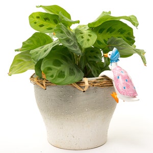 May include: A green potted plant with large, patterned leaves in a gray ceramic pot with a woven straw rim. A small white ceramic duck with pink and blue accents is perched on the rim of the pot.