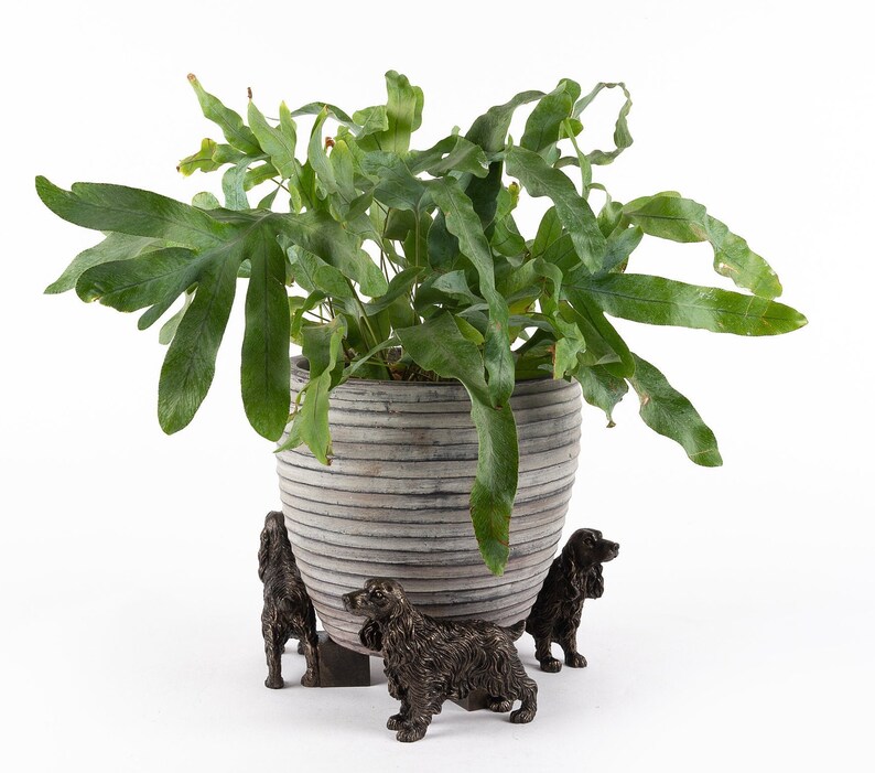 Bronze, Cocker Spaniel, Potty Feet, Set of 3, Plant Pot Stand, Antique Decor, Pot Stand, Plant Pot Decor, Plant Pot Decoration, Garden Decor image 5