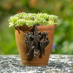 Dragon Pot Buddy Pot Hanger - Bronze Coloured Coloured Dragon Pot Hanger - Gift Boxed Pot Buddies. Dragon Ornament Garden and Home