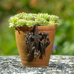 Dragon Pot Buddy Pot Hanger - Bronze Coloured Dragon Pot Hanger - Gift Boxed Pot Buddies. Dragon Ornament Garden and Home