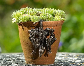 Dragon Pot Buddy Pot Hanger - Bronze Coloured Dragon Pot Hanger - Gift Boxed Pot Buddies. Dragon Ornament Garden and Home