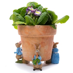 Op de afbeelding: Een terracotta bloempot met een groene plant en paarse en witte bloemen. Drie kleine konijnenfiguren zijn rond de basis van de pot geplaatst.