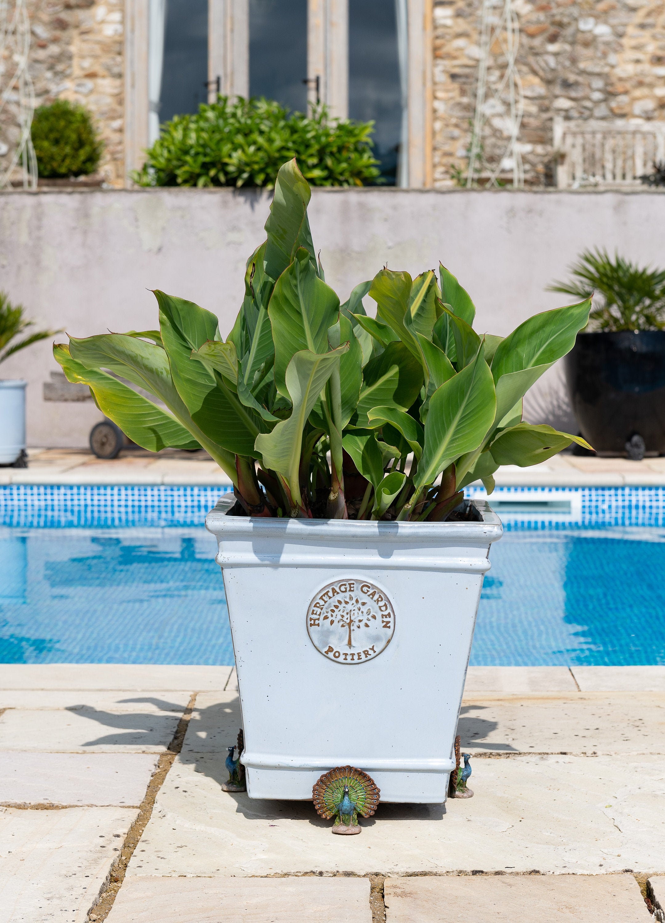 Full Colour Peacock Potty Feet Plant Pot Feet X 3 Pot Etsy