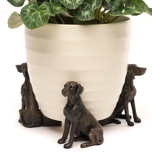 May include: A white ceramic planter with three bronze dog figurines as legs. The planter is filled with green leafy plants.