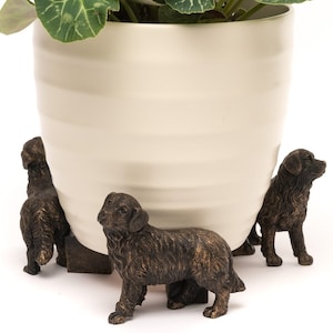 Set di 3 piedini per vasi per piante di cane da montagna bernese / Affascinante decorazione da giardino
