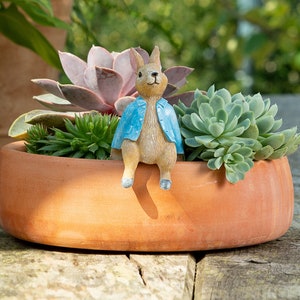 May include: A terracotta planter filled with a variety of succulents and a small rabbit figurine wearing a blue jacket. The rabbit is sitting on the rim of the planter.