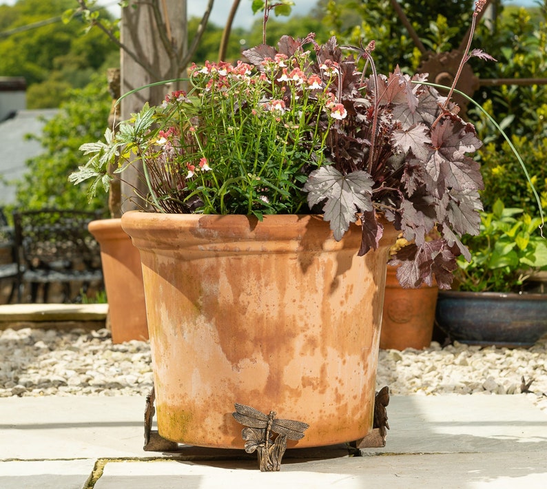 Dragonfly Potty Feet Plant Pot Feet Antique Bronze Coloured Etsy UK