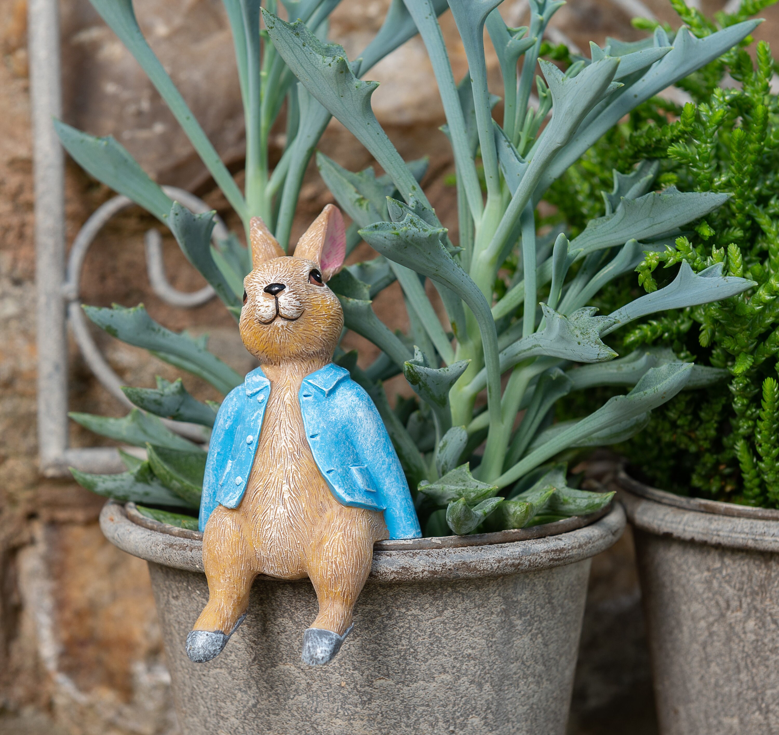 Peter Rabbit Pot Buddy Pot Hanger Beatrix Potter Gift Etsy