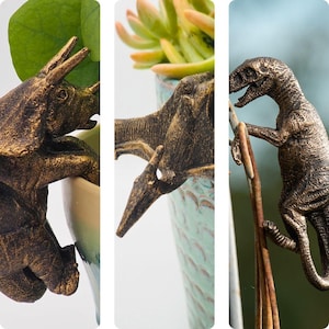 Set de pots de dinosaures | Vélociraptor Triceratops Ptéranodon | Décorations de jardin | Suspensions pour plantes | Marché américain uniquement