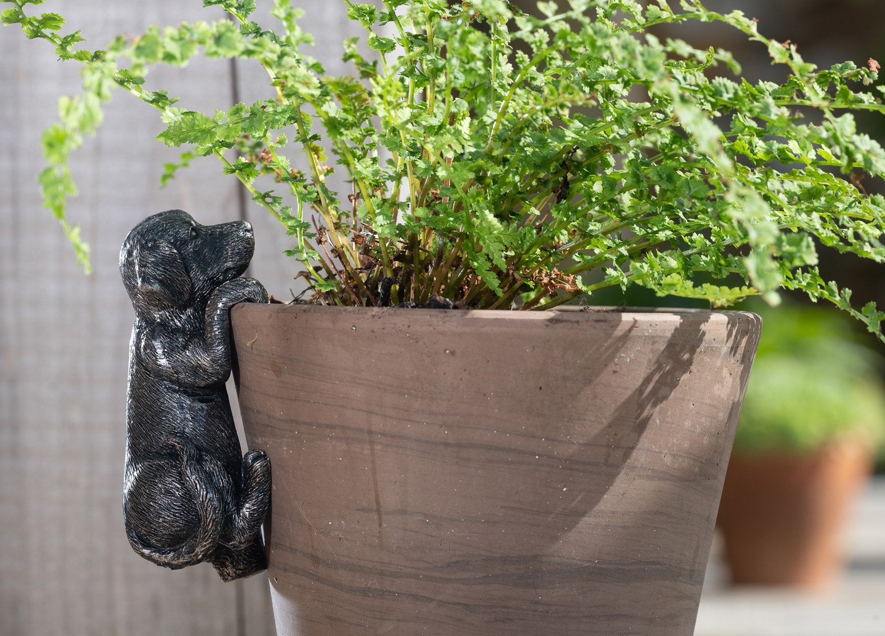 Labrador Puppy on Boot Garden Plant Pot Holder,Useful Dog Owner or Gardener Gift Labrador Puppy on Boot Garden Plant Pot Holder,Useful Dog Owner or Gardener Gift