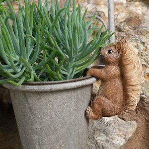 May include: A brown squirrel figurine hanging from a metal hook, with its tail curled around the hook. The squirrel is holding onto a grey metal planter with green succulent plants.
