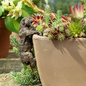 Striking Bronze Tiger Pot Buddy | Garden & Home Accent | British Design